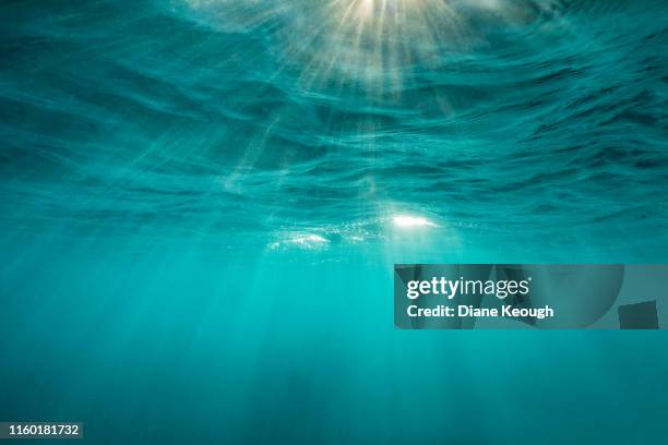 mesmerising sunrays under the surface of the ocean - 海中　光 ストックフォトと画像