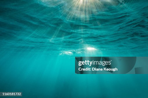 Mesmerising sunrays under the surface of the ocean Mesmerising sunrays under the surface of the ocean