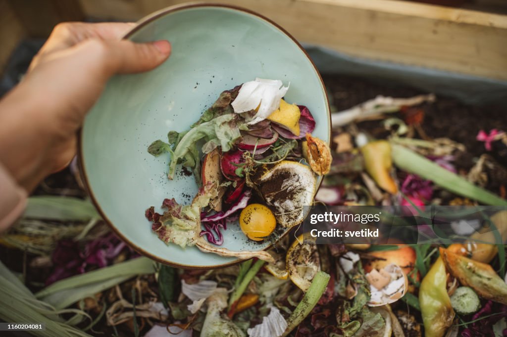 Hacer compost a partir de las sobras