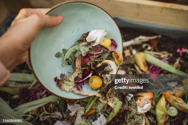 het maken van compost van restjes - gastronomy stockfoto's en -beelden