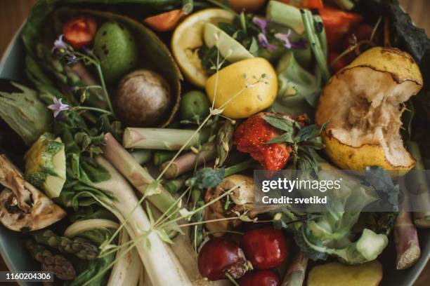 voorbereiden voor het maken van compost - compost stockfoto's en -beelden