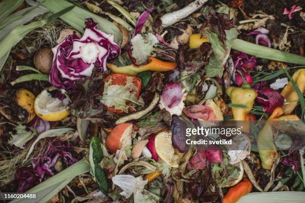 making compost from leftovers - trash stock pictures, royalty-free photos & images