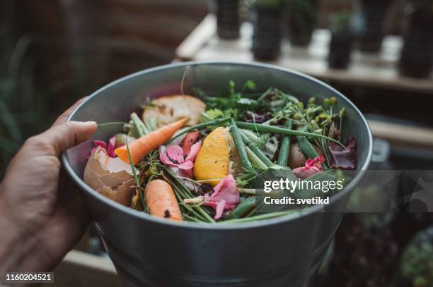 making compost from leftovers - junk stock pictures, royalty-free photos & images