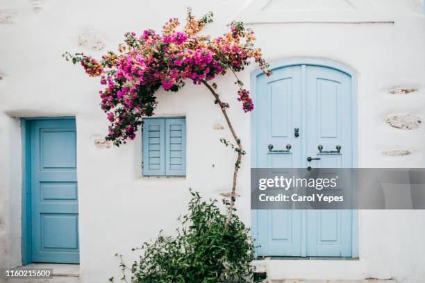 beautiful turqoise door and bouganvillae in naoussa,greece - fira santorini stock pictures, royalty-free photos & images