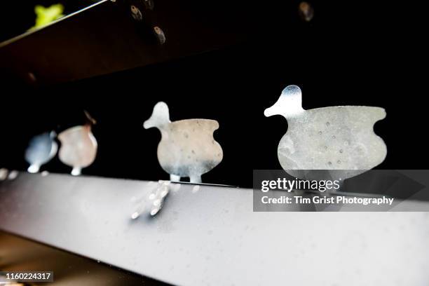 161 Duck Target Stock Photos, High-Res Pictures, and Images - Getty Images