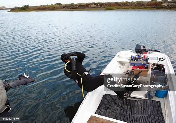 Backfall Dive 325 Backward Fall Stock Photos, High-Res Pictures, and Images - Getty ...