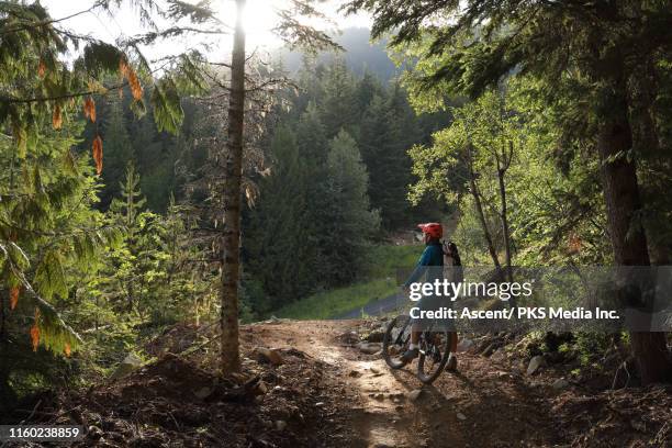 mountain biker pauses on trail to enjoy view - mountainbiken fietsen stockfoto's en -beelden