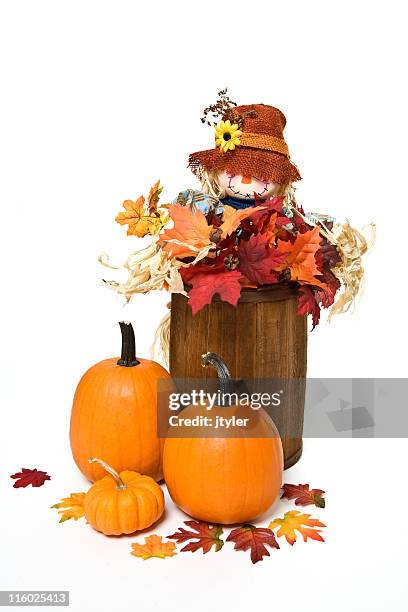 scarecrow in a barrel - vogelverschrikker stockfoto's en -beelden