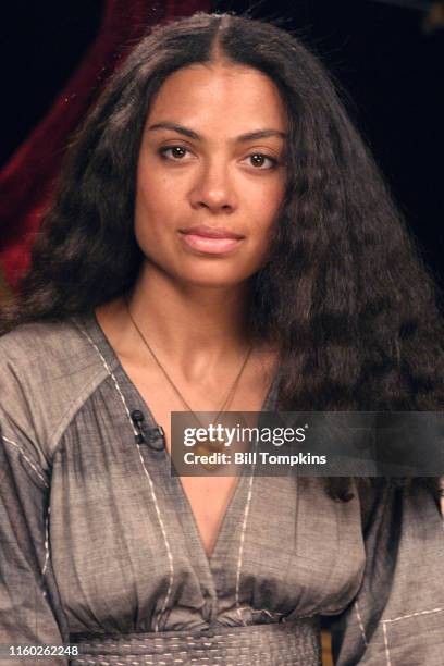 March 27: MANDATORY CREDIT Bill Tompkins/Getty Images Amel Larrieux March 27, 2006 in New York City.