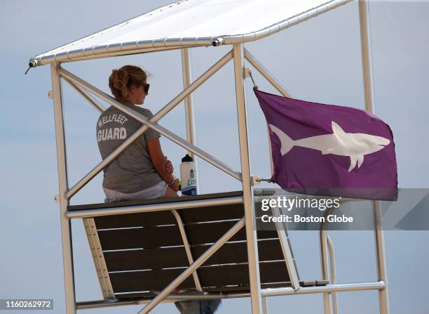 Lifeguard Ellie Hartmann watches from her station on the beach with warning flags posted at Cahoon Beach in Wellfleet, MA on Aug. 1, 2019. Every week...