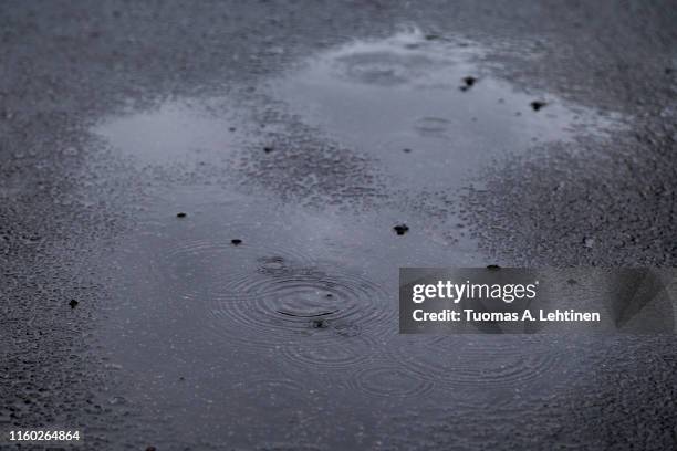 Child Puddle Ripple 1,557 Puddle Ripple Stock Photos, High-Res Pictures, and Images - Getty ...
