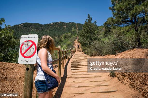 looking at the manitou incline - hill stock pictures, royalty-free photos & images