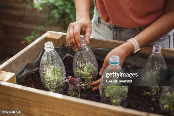 utilisez de vieilles bouteilles en plastique dans le jardin - recycling photos et images de collection