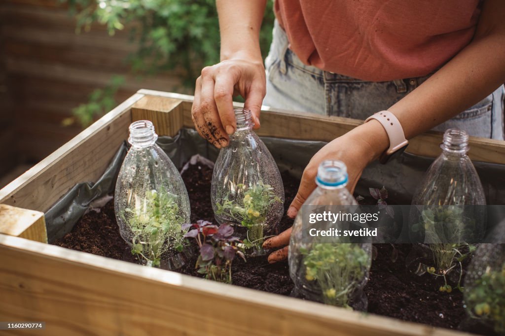 Use old plastic bottles in garden