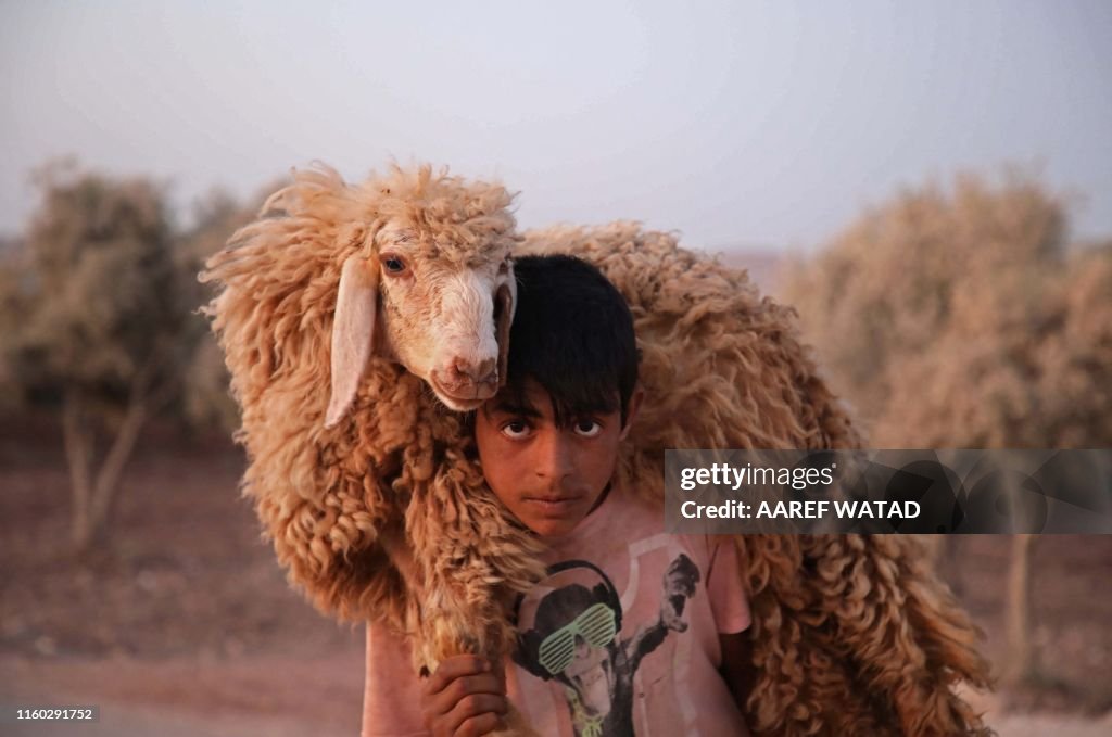 TOPSHOT-SYRIA-CONFLICT-ANIMAL