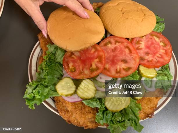 oversized pork tenderloin sandwich platter in northeast iowa - large cucumber stockfoto's en -beelden