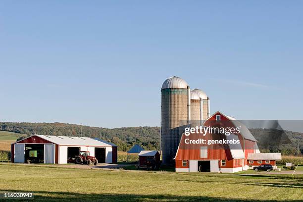red barn - evening in late summer - red barn corn field stock pictures, royalty-free photos & images