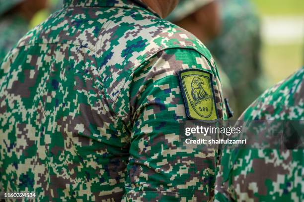 Parade Rest 33 Military Stand Parade Rest Stock Photos, High-Res Pictures, and ...