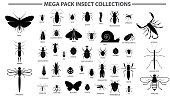 set of various insect in silhouette, with insect name.