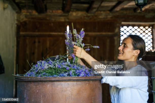 lavande. la saison de production d'huile essentielle est maintenant. - perfume photos et images de collection