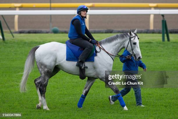 Assistant trainer Kim Johnstone riding Thundering Blue prepare for Japan Cup at Tokyo Racecourse on November 22, 2018 in Fuchu, Tokyo, Japan.