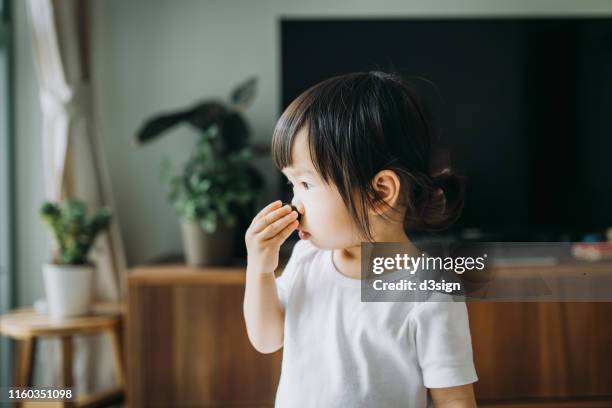 cute little asian toddler girl eating blueberries as snack in the living room at home - girl hold nose stock pictures, royalty-free photos & images