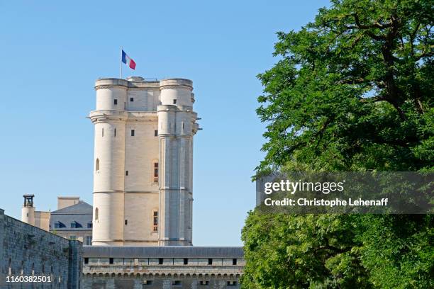 the donjon of the castle of vincennes. - vincennes fotografías e imágenes de stock