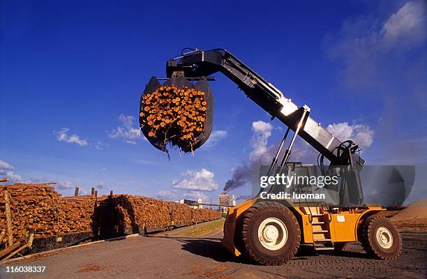 industry in the amazon - ontbossing stockfoto's en -beelden