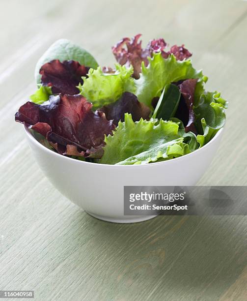 grüner salat - endivie stock-fotos und bilder