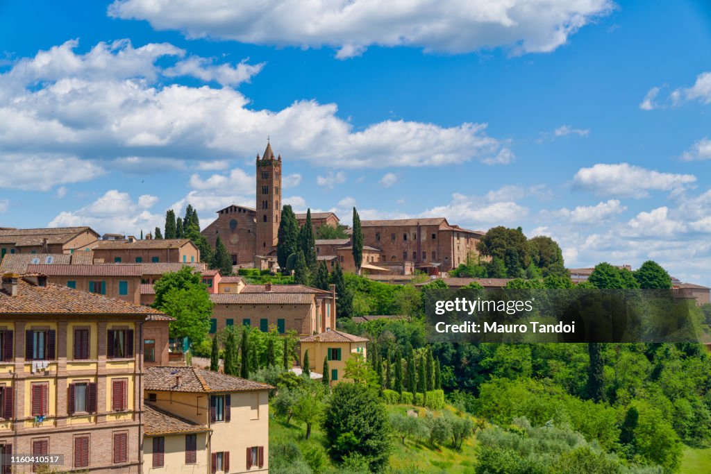 Basilica of "Santa Maria dei Servi", Siena, Tuscany