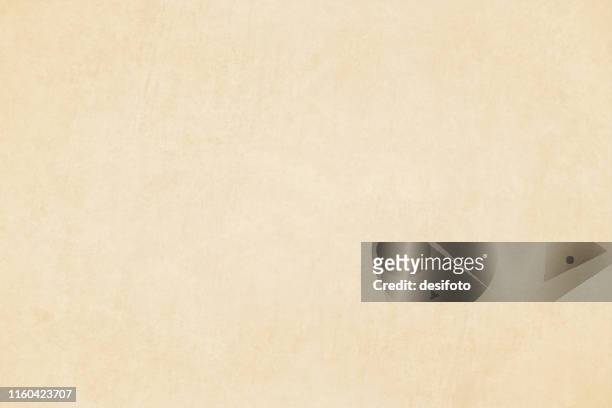 horizontal vector illustration of an empty light brown shade grungy textured background - old parchment, background, burnt stock illustrations