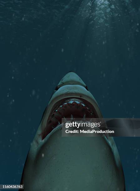 shark swimming towards the surface with mouth open - animals attacking stock pictures, royalty-free photos & images