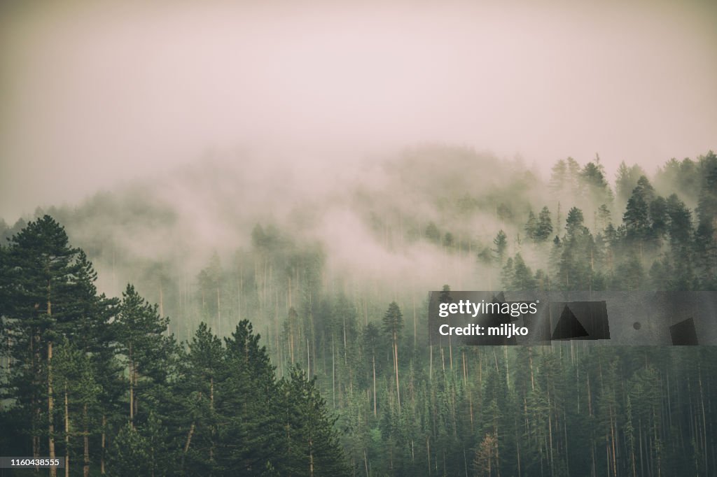 Mist en wolken op berg