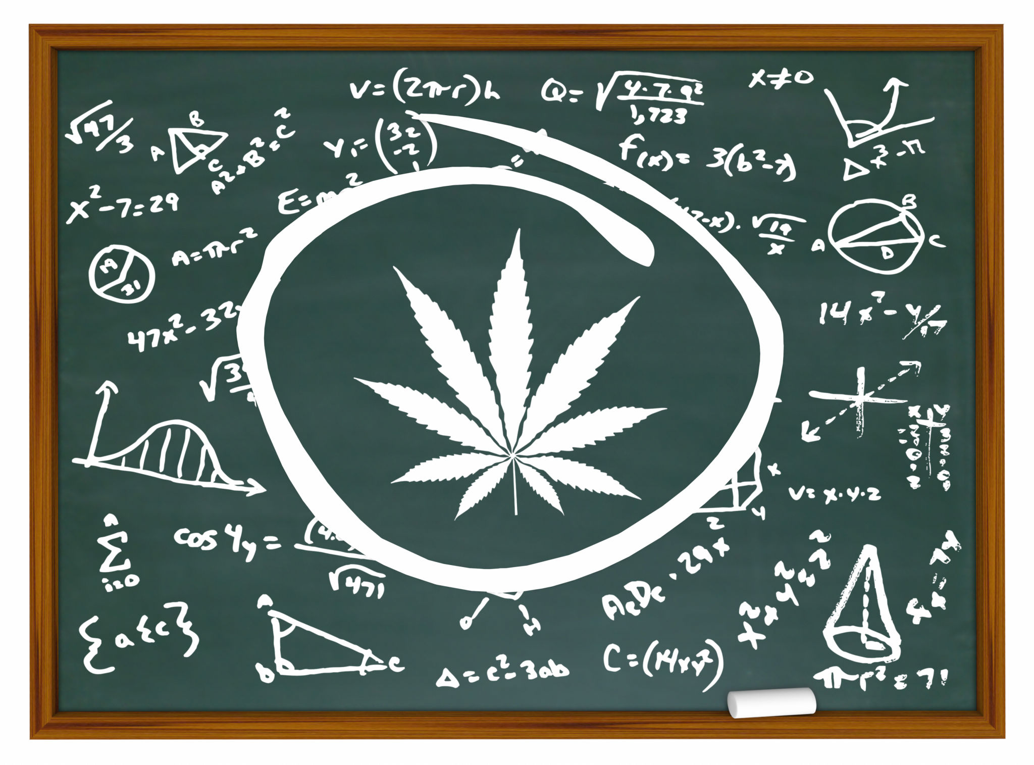 cannabis education