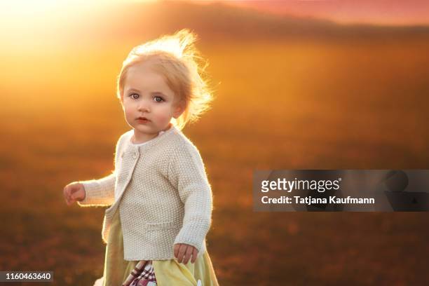 autumnal portrait of cute toddler girl lit by backlight, blonde hair blowing in the wind - blue eyed soul stock pictures, royalty-free photos & images