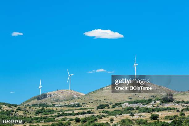 windmills in maldonado department, uruguay - maldonado uruguay foto e immagini stock