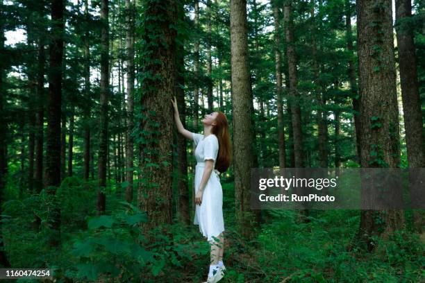 young woman touching tree trunk in forest - exhibition a human adventure stock pictures, royalty-free photos & images