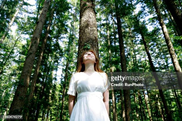 young woman leaning against tree in forest - beautiful japanese women stock pictures, royalty-free photos & images