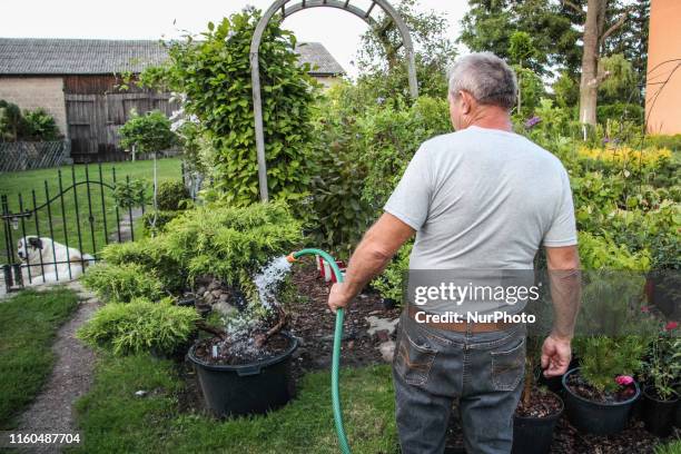 Man watering shrubs on a farm producing ornamental plants is seen in Sypniewo, Poland on 9 August 2019 At the end of July 2019, the Polish Geological...