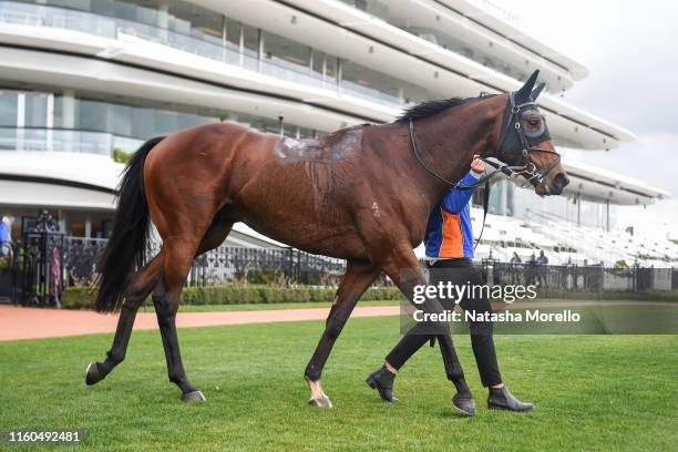 Vinland after winning the VRC Member Emma Duffy Handicap at Flemington Racecourse on August 10, 2019 in Flemington, Australia.