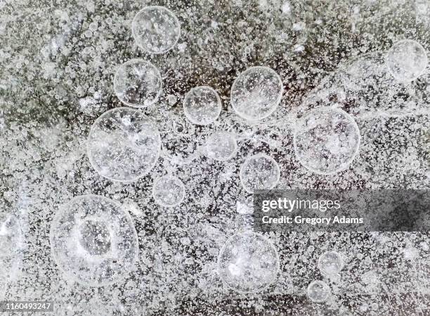 frozen bubbles in winter ice - permafrost stock pictures, royalty-free photos & images