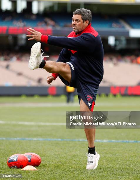 Jeff Farmer is seen during the 2019 AFL round 21 match between the Melbourne Demons and the Collingwood Magpies at the Melbourne Cricket Ground on...