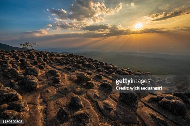 laan hin pum , thailand - phitsanulok province stock pictures, royalty-free photos & images