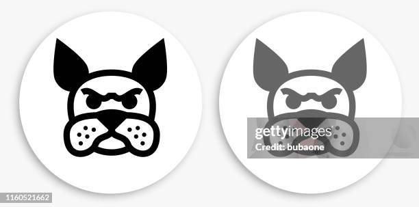 boston terrier black and white round icon - boston terrier stock illustrations