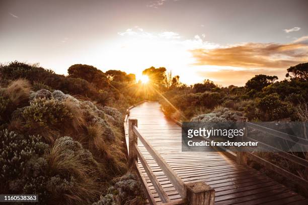 sunset in the victoria nature countryside - great ocean road stock pictures, royalty-free photos & images