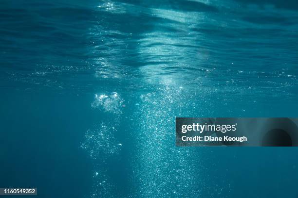 rising bubbles under the ocean surface - subacuático fotografías e imágenes de stock