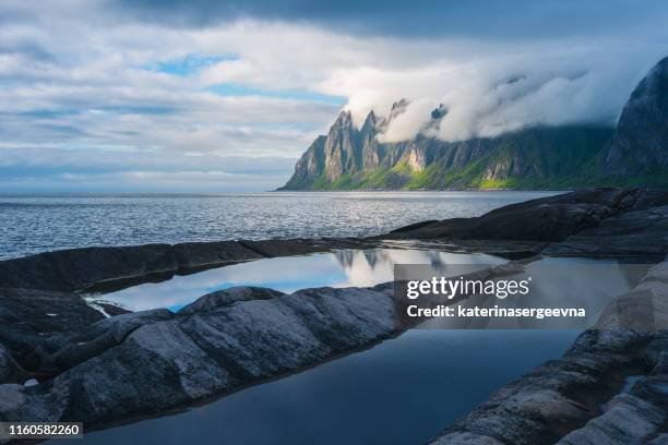 davils kiefer. norwegen,insel senja - insel senja stock-fotos und bilder