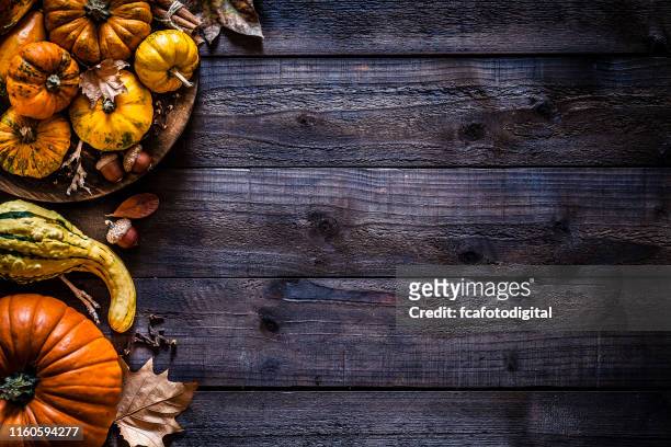 thanksgiving day or autumn pumpkin holiday background - thanksgiving wallpaper imagens e fotografias de stock