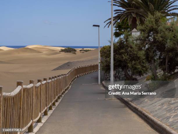 scenic view of a street near the dunes of maspalomas with blue sky and the sea in the horizon - solar street light stock pictures, royalty-free photos & images