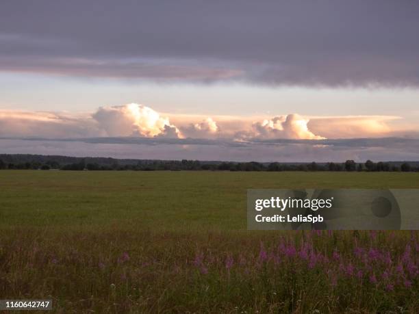 cloudy landscape in the field - roadside photos et images de collection